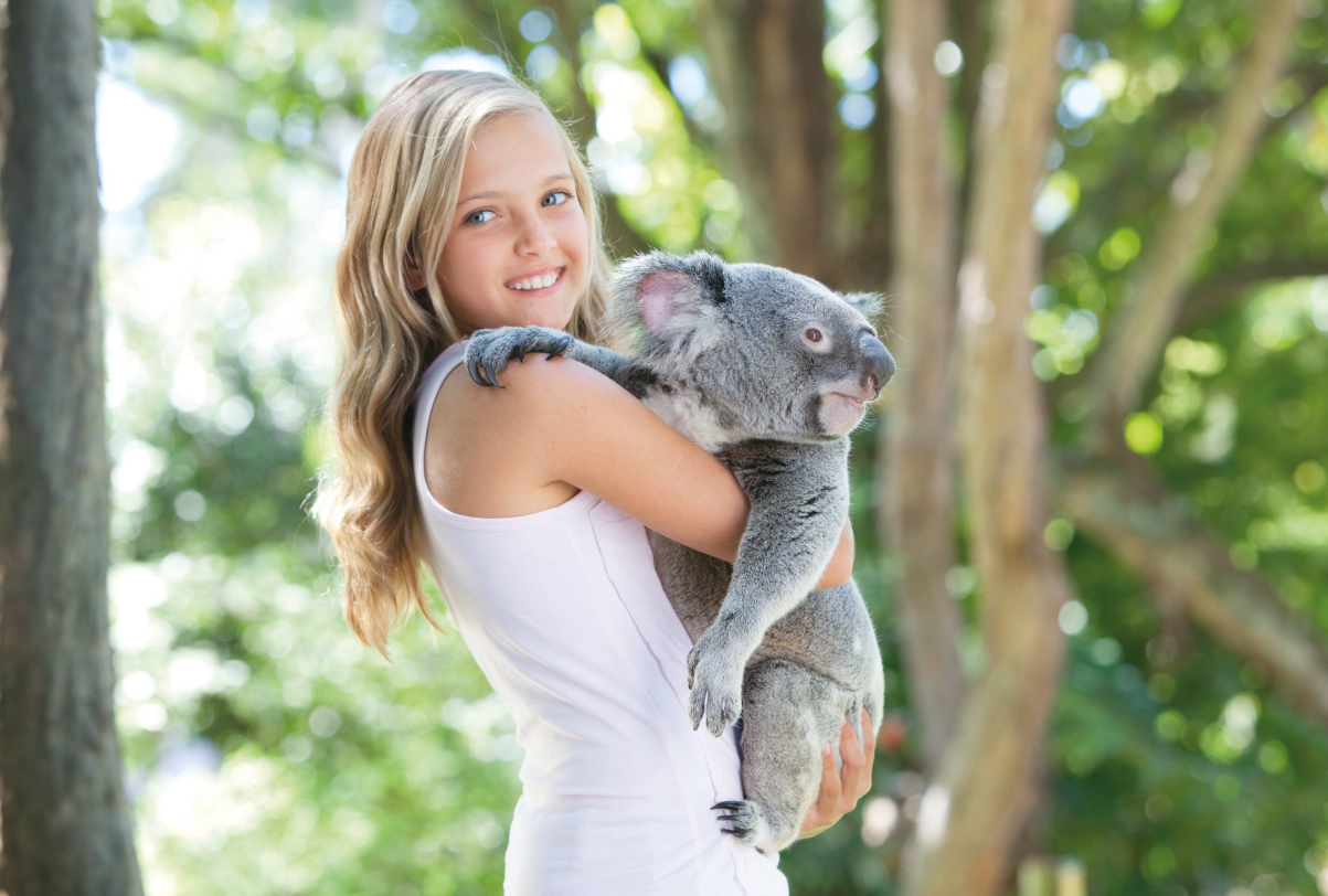 如图片无法显示，请刷新页面